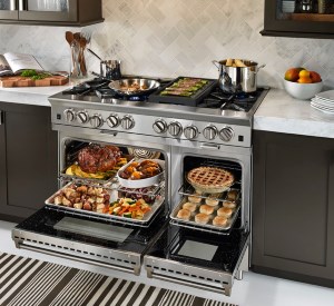 event_bluestar_gas_oven_range[1]